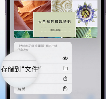 印江apple维修中心分享iPhone文件应用中存储和找到下载文件