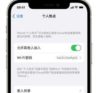 印江apple服务站点分享iPhone上个人热点丢失了怎么办 