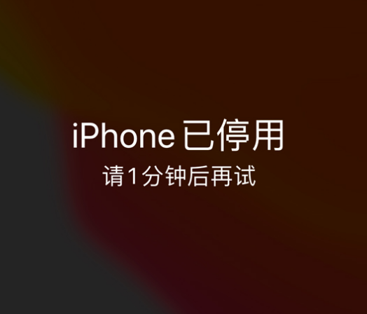 印江苹果手机维修分享:iPhone 显示“不可用”或“已停用”怎么办？还能保留数据吗？ 