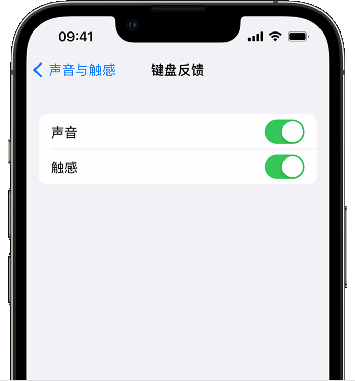 印江苹果14维修店分享如何在 iPhone 14 机型中使用触感键盘 