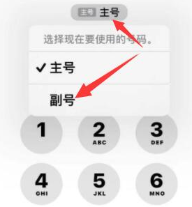 印江苹果14维修店分享iPhone 14 Pro Max使用副卡打电话的方法 