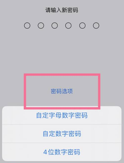 印江苹果14维修分享iPhone 14plus设置密码的方法 