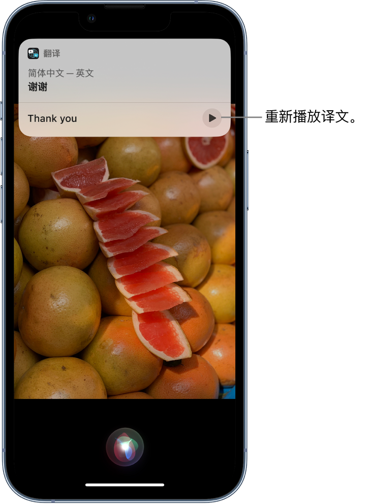 印江苹果14维修分享 iPhone 14 机型中使用 Siri：了解 Siri 能帮你做什么 