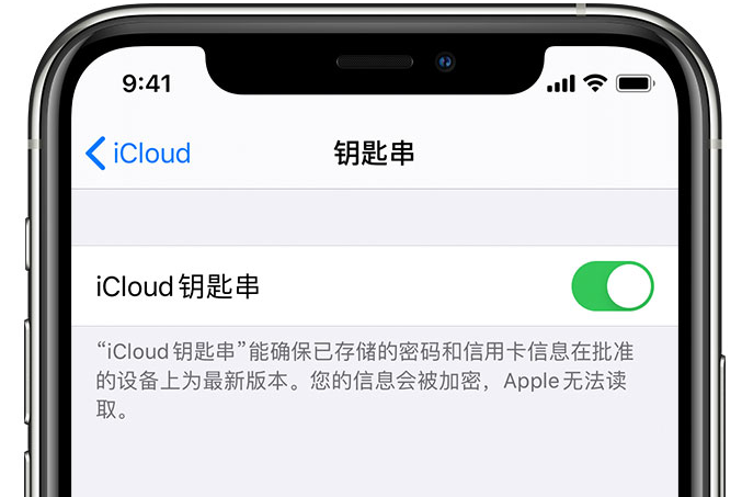 印江苹果手机维修分享在 iPhone 上开启 iCloud 钥匙串之后会储存哪些信息 